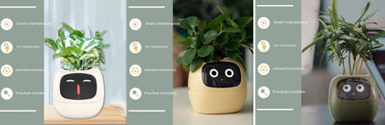 Smart Planter with AI & Sensors