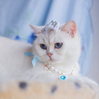 Necklace And Headdress Flower / L