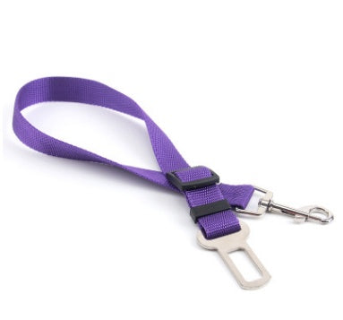 Fixed Strap Polyester Dog Leash – Durable and Comfortable Dog Lead
