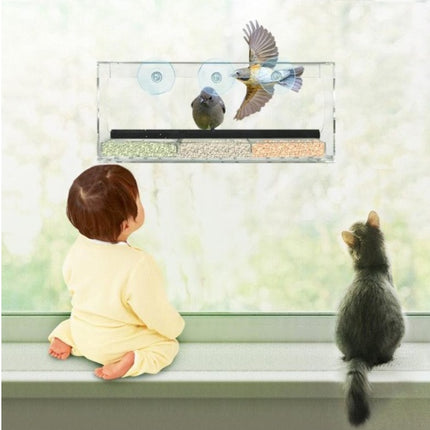 New Acrylic Bird Feeder Box