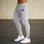 Grey / Black boar / L