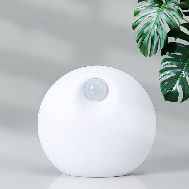 Smart Pet Air Purifier – 360° Sensor Deodorizer for Cat Litter Boxes