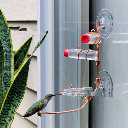 Drinker Bird Feeders for Wild Birds