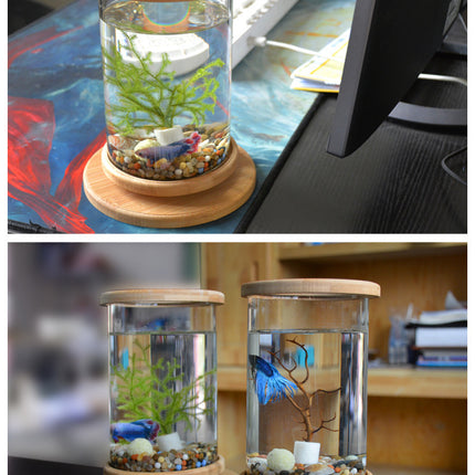 Mini Bamboo Frame Glass Fish Tank