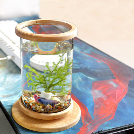 Mini Bamboo Frame Glass Fish Tank