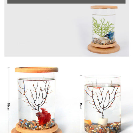 Mini Bamboo Frame Glass Fish Tank