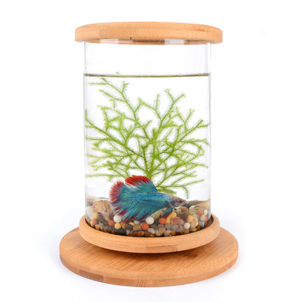 Mini Bamboo Frame Glass Fish Tank