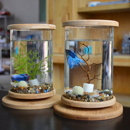 Mini Bamboo Frame Glass Fish Tank