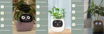 Smart Planter with AI & Sensors