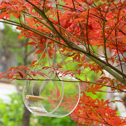 Acrylic Bird Food Box (Round Design)