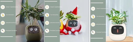 Smart Planter with AI & Sensors