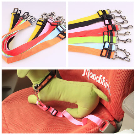 Fixed Strap Polyester Dog Leash – Durable and Comfortable Dog Lead