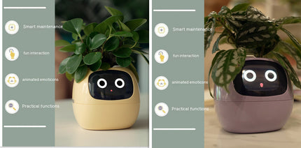Smart Planter with AI & Sensors