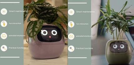Smart Planter with AI & Sensors