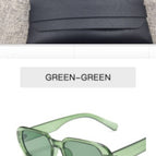 Olive green / With glasses bag