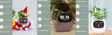 Smart Planter with AI & Sensors