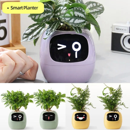 Smart Planter with AI & Sensors