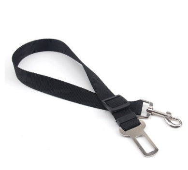 Fixed Strap Polyester Dog Leash – Durable and Comfortable Dog Lead