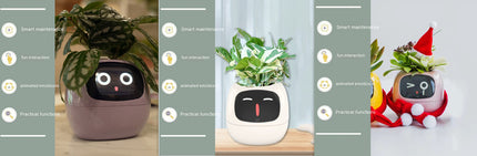Smart Planter with AI & Sensors