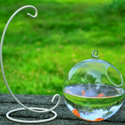 Hanging Glass Vase Fish Tank – Stylish Decorative Aquarium for Home & Office