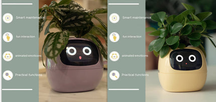 Smart Planter with AI & Sensors