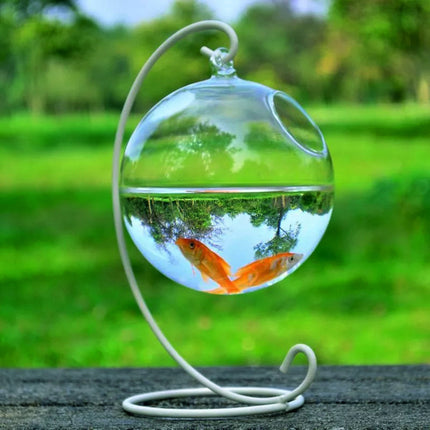 Hanging Glass Vase Fish Tank – Stylish Decorative Aquarium for Home & Office