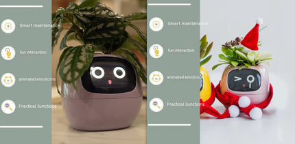 Smart Planter with AI & Sensors