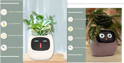 Smart Planter with AI & Sensors