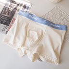 Pure Color White Rabbit / L