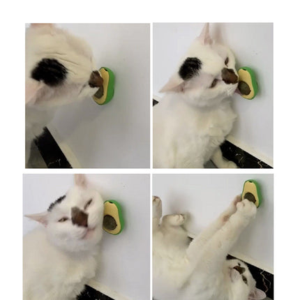 Avocado Peppermint Catnip Ball – Dental & Digestive Health Cat Toy