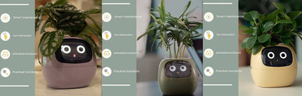 Smart Planter with AI & Sensors