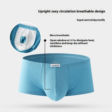 Men’s Cotton Sports Shorts – Breathable & Lightweight