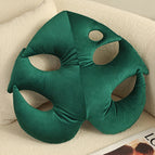 Monstera Deliciosa / Large