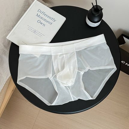 Men’s Mid-Waist Seamless Nylon Briefs
