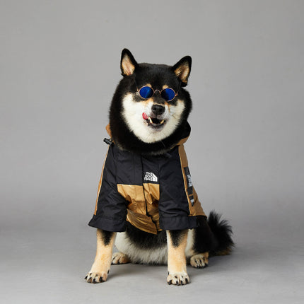 Waterproof Dog Raincoat – Golden Polyester Jacket for Small to Large Dogs