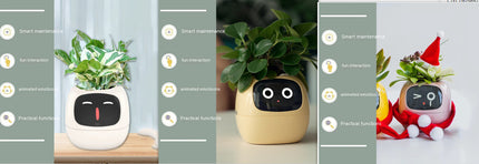 Smart Planter with AI & Sensors