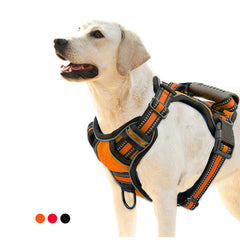 Collection image for: Pet Outdoor & Care Accessories