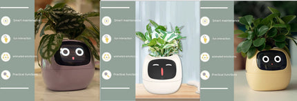 Smart Planter with AI & Sensors
