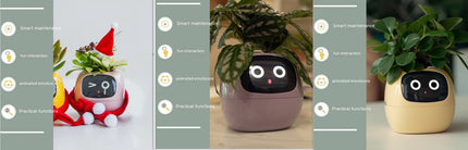 Smart Planter with AI & Sensors