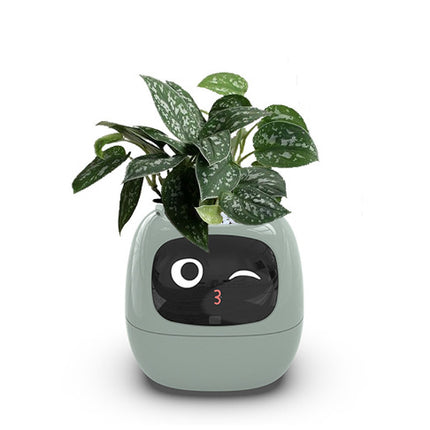 Smart Planter with AI & Sensors