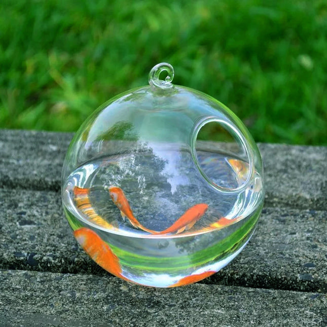 Hanging Glass Vase Fish Tank – Stylish Decorative Aquarium for Home & Office