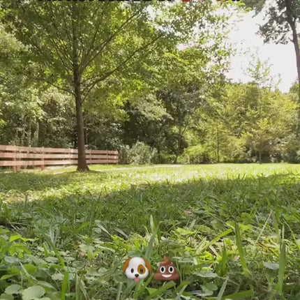1.mp4