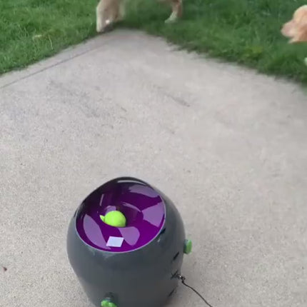 1.mp4