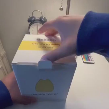 1.mp4